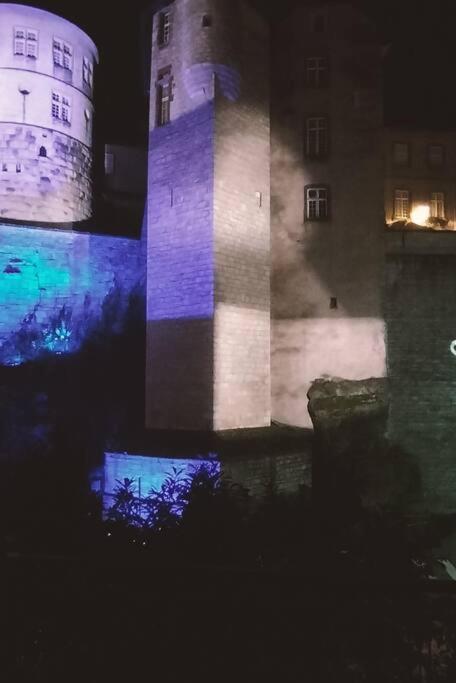 Appartement Au Pied Du Chateau Montbeliard Bagian luar foto